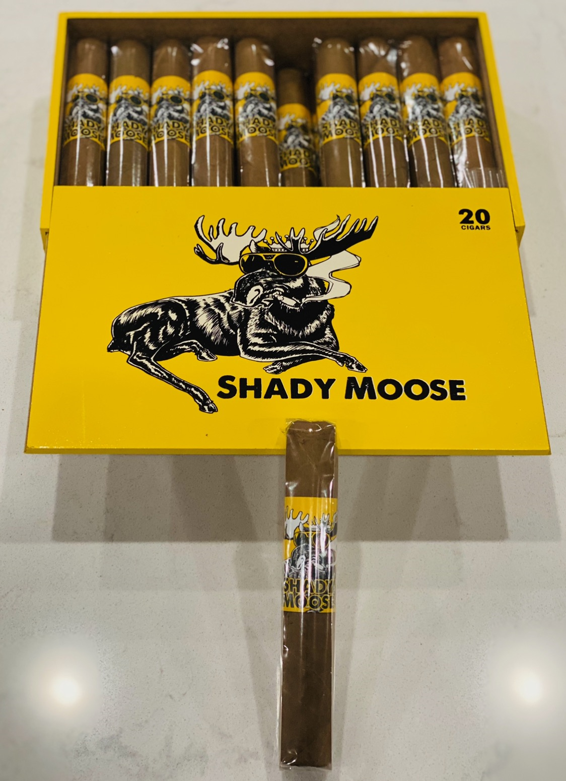 Chillin Shady Moose